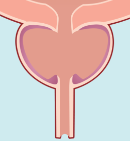 enlarged prostate treatment in korea yezak urology clinic in seoul